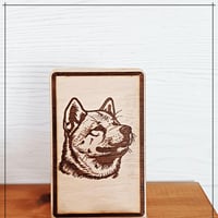 Akita 1