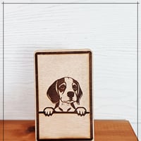 Beagle