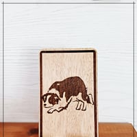 Border collie