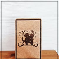 Boxer 1