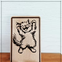 Chat rigolo