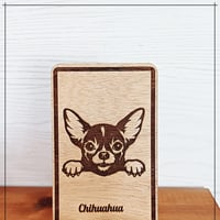 Chihuahua 2