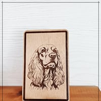 Cocker